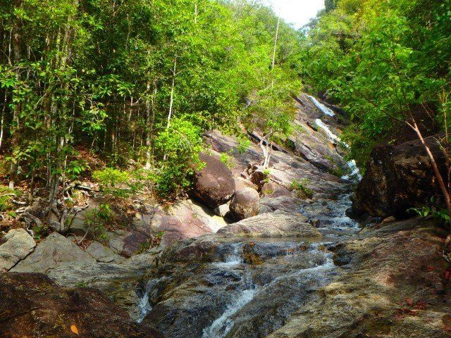 Waterfall cascading down a rocky slope, surrounded by lush green forest.