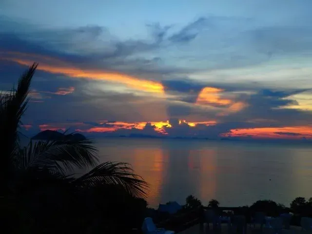 Sunset over calm ocean, with fiery orange and gold clouds, dark silhouettes of palm leaves.