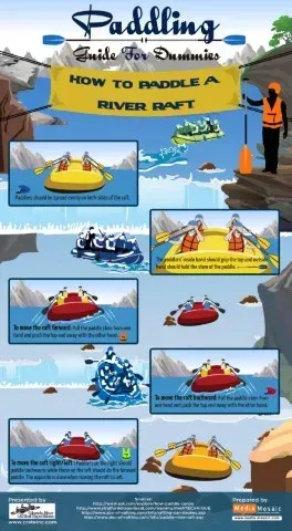 Infographic: