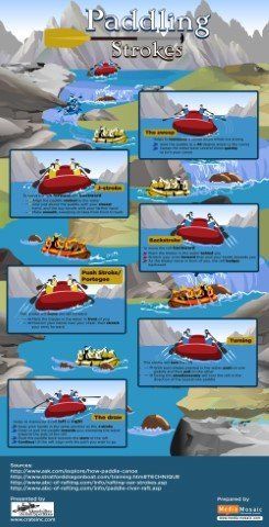 Infographic: Types of rafting strokes demonstrated in a river with red rafts, highlighting forward stroke, back stroke, etc.