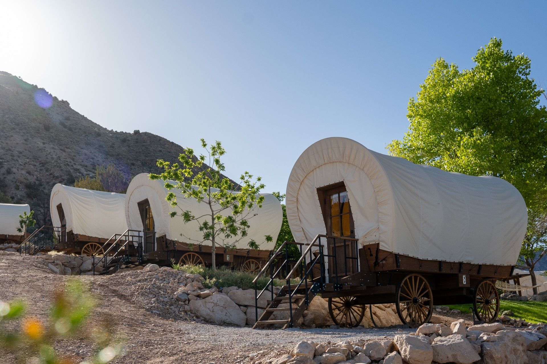Canyon landscape with river. Cactus in the foreground, cliffs in orange and gray, and blue sky.