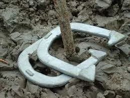 Two silver horseshoes are nestled in muddy soil near a thin tree trunk.