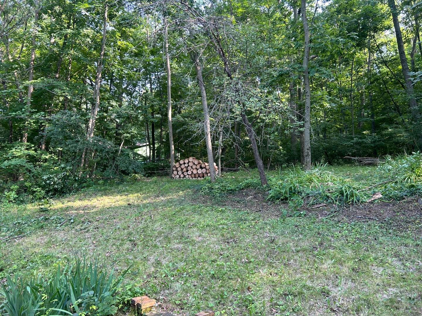 There is a pile of logs in the middle of the yard.