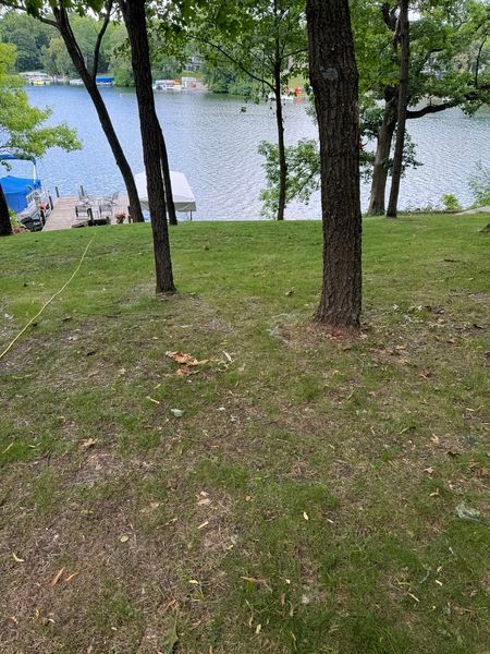 A lawn with trees and a lake in the background.
