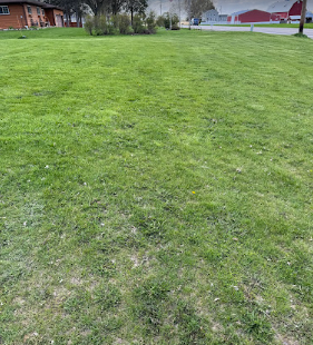 A large lush green field with a red barn in the background.