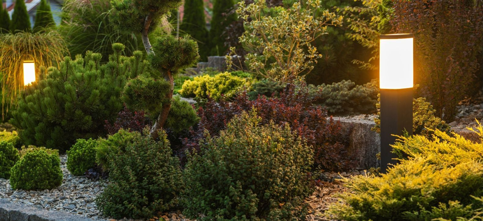 A garden with lots of plants and trees and a lamp post in the middle of it.