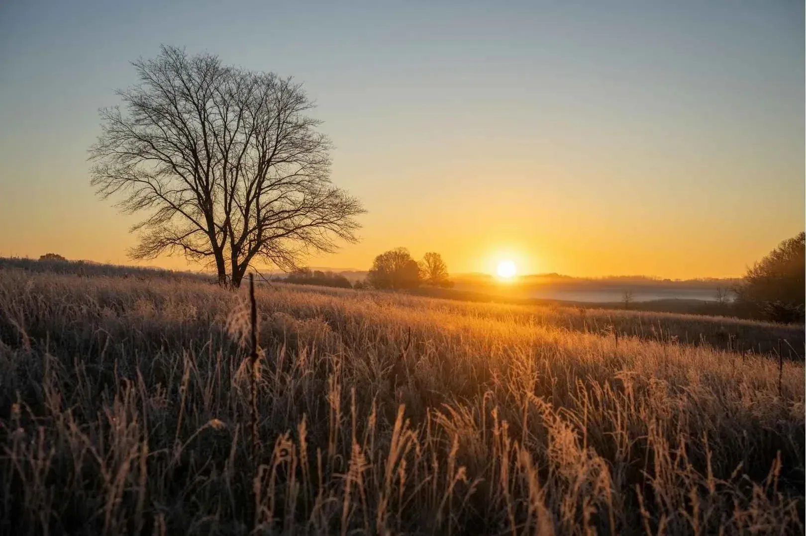 Tiny house vlaanderen