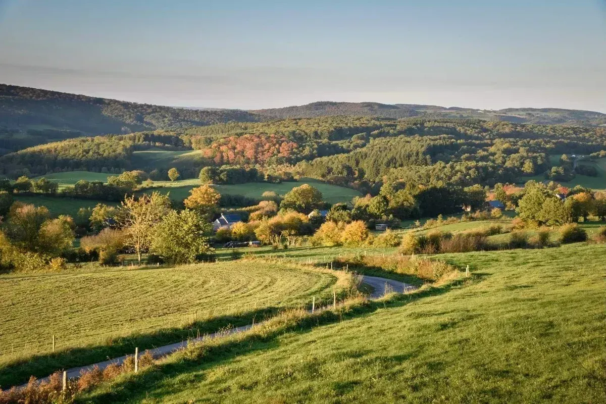 tiny house ardennen