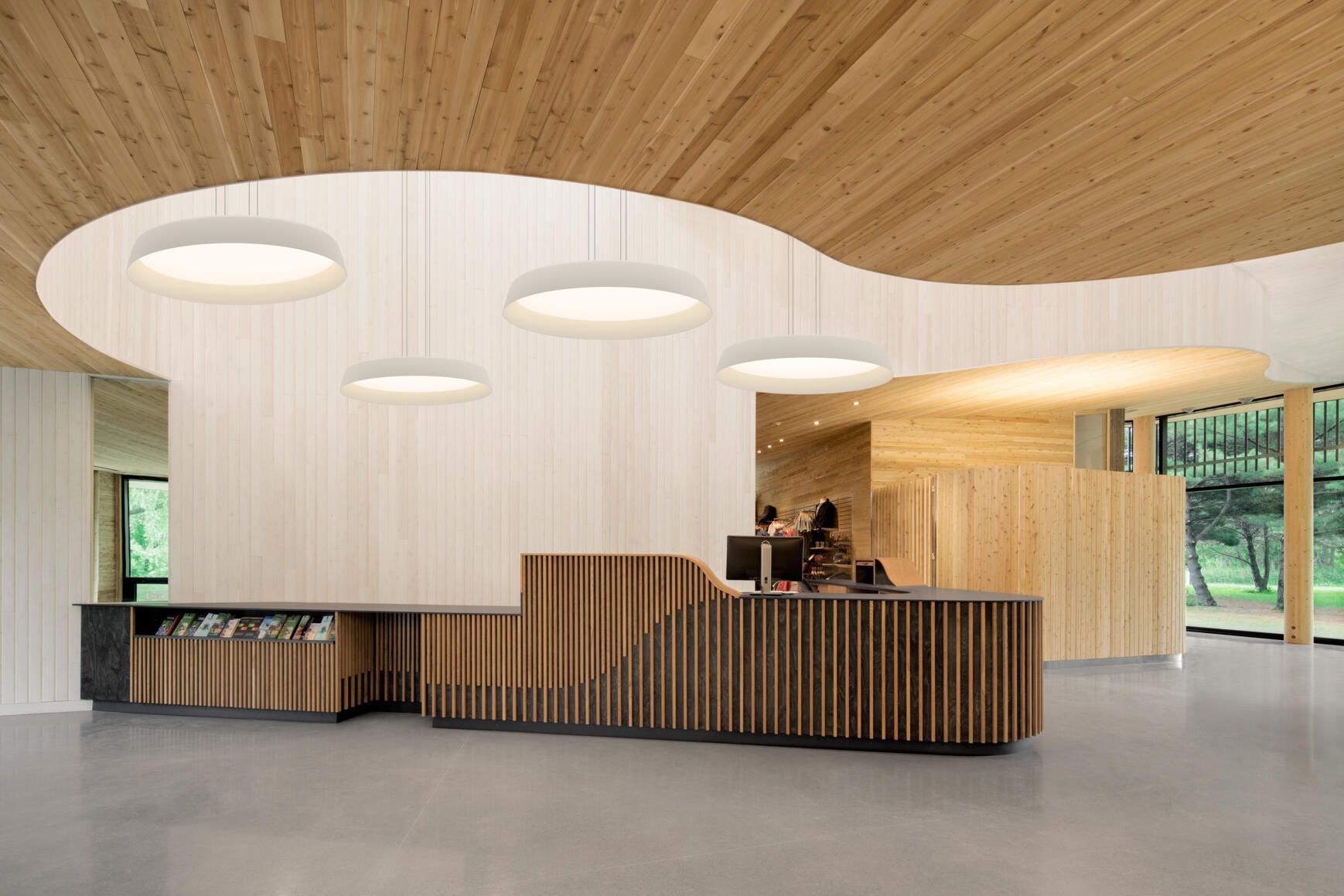 Moderna zona de recepción con mostrador de madera con listones, techo curvo de madera clara y lámparas colgantes circulares.