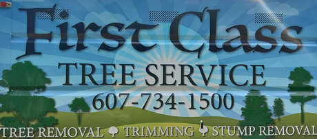 First Class Tree Service