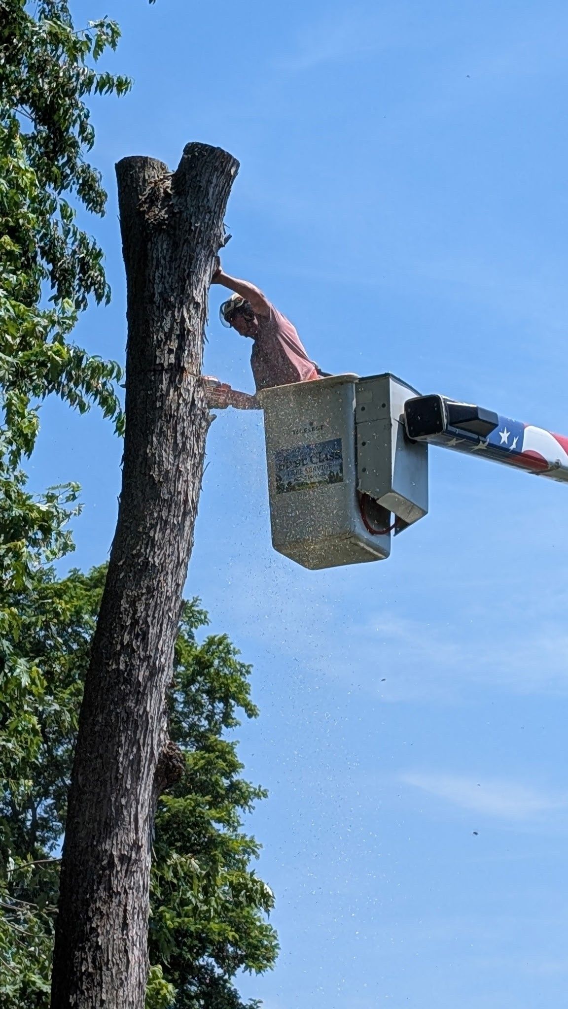 A man is cutting a tree from a bucket truck.