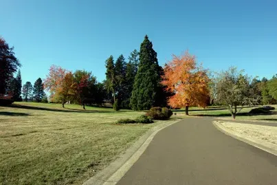 Pathway through park with trees showing autumn foliage under a blue sky.