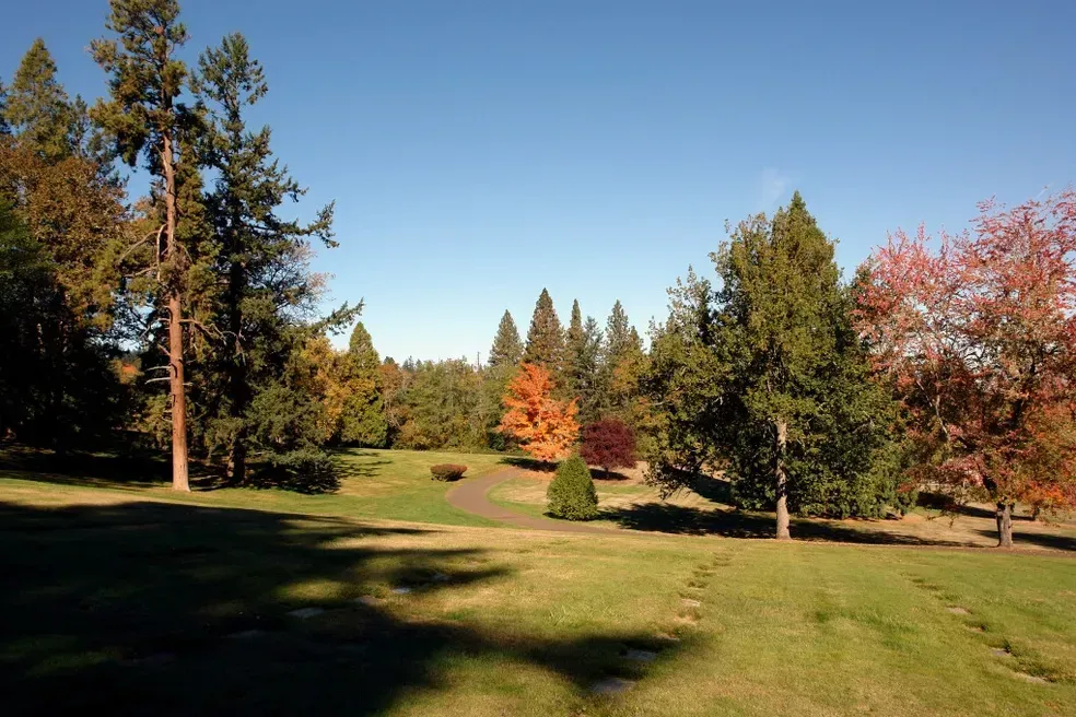 Lush green lawn with trees in fall colors under a clear, blue sky.