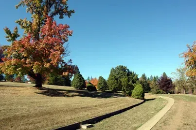 Autumn landscape with trees displaying red, orange, and green leaves under a clear blue sky.