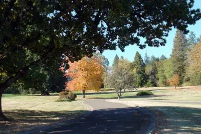 Paved path through a park with autumn foliage and trees under a clear, blue sky.