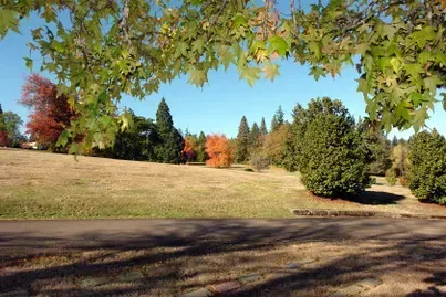 A grassy park with colorful trees under a clear blue sky, viewed through green leaves.