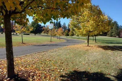 A winding road through a park with autumn trees displaying yellow leaves.