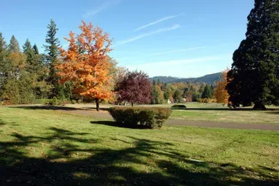 Vibrant autumn trees in a park setting; green grass, blue sky, and a distant mountain range.