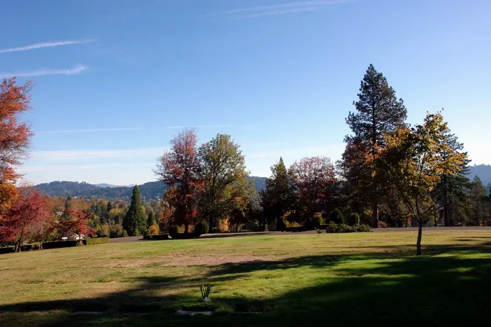 Grassy field with trees in autumn colors under a bright blue sky. Hills in the background.