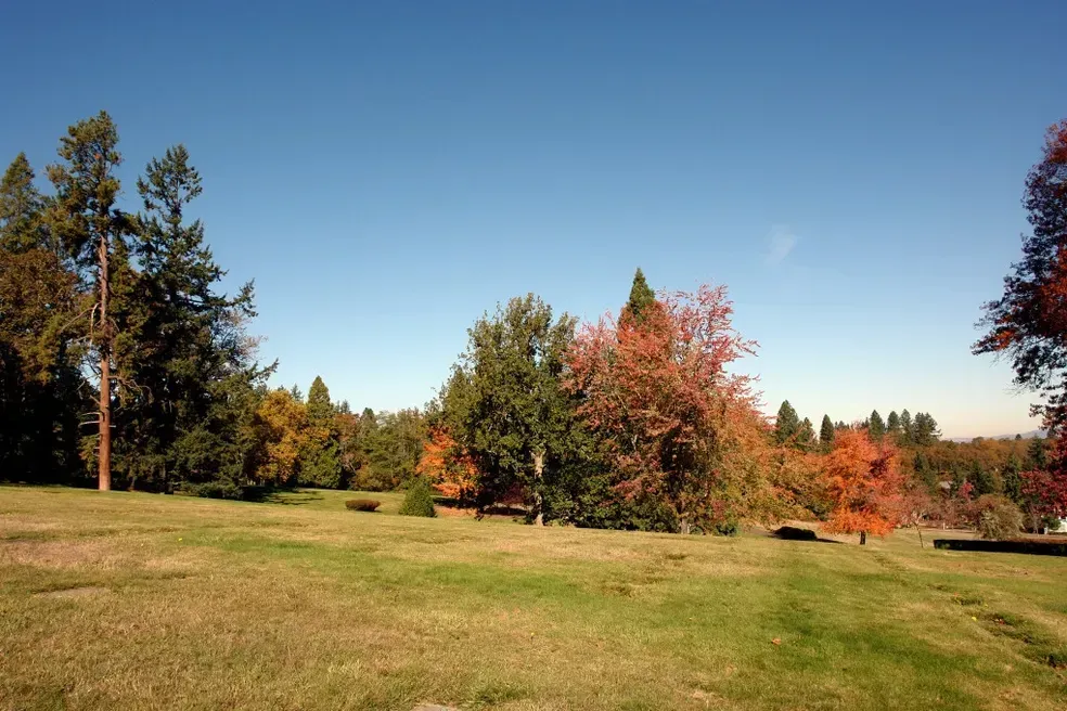Grassy park with trees displaying autumn colors under a clear blue sky.