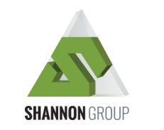 A logo for shannon group with a green triangle
