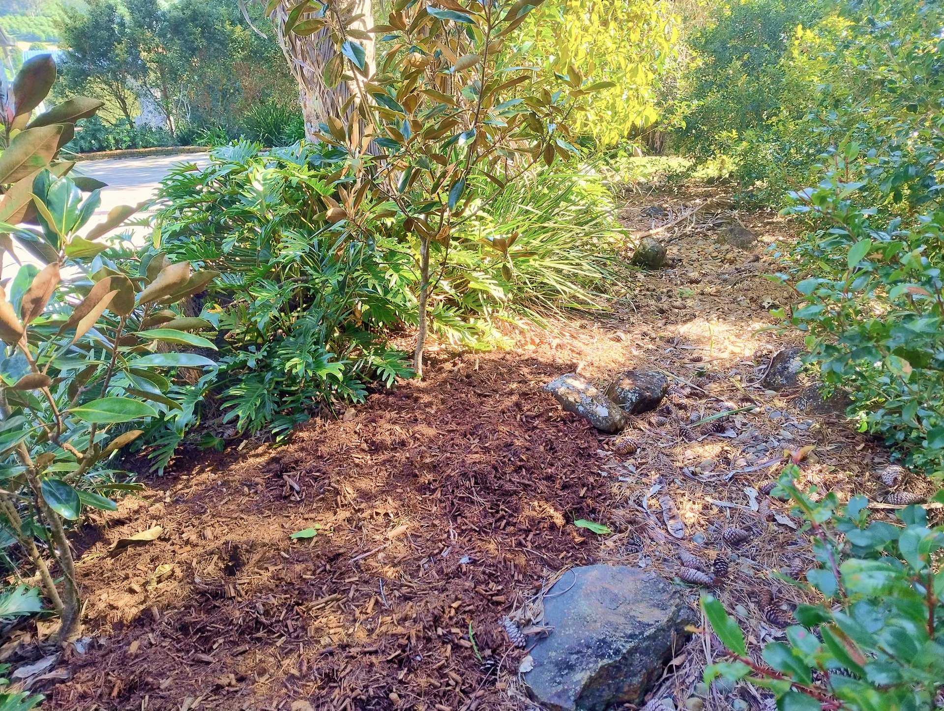 Tea Tree Mulch in a Garden Bed with Shrubbery — Teven Valley Tea Tree Mulch In Ballina, NSW