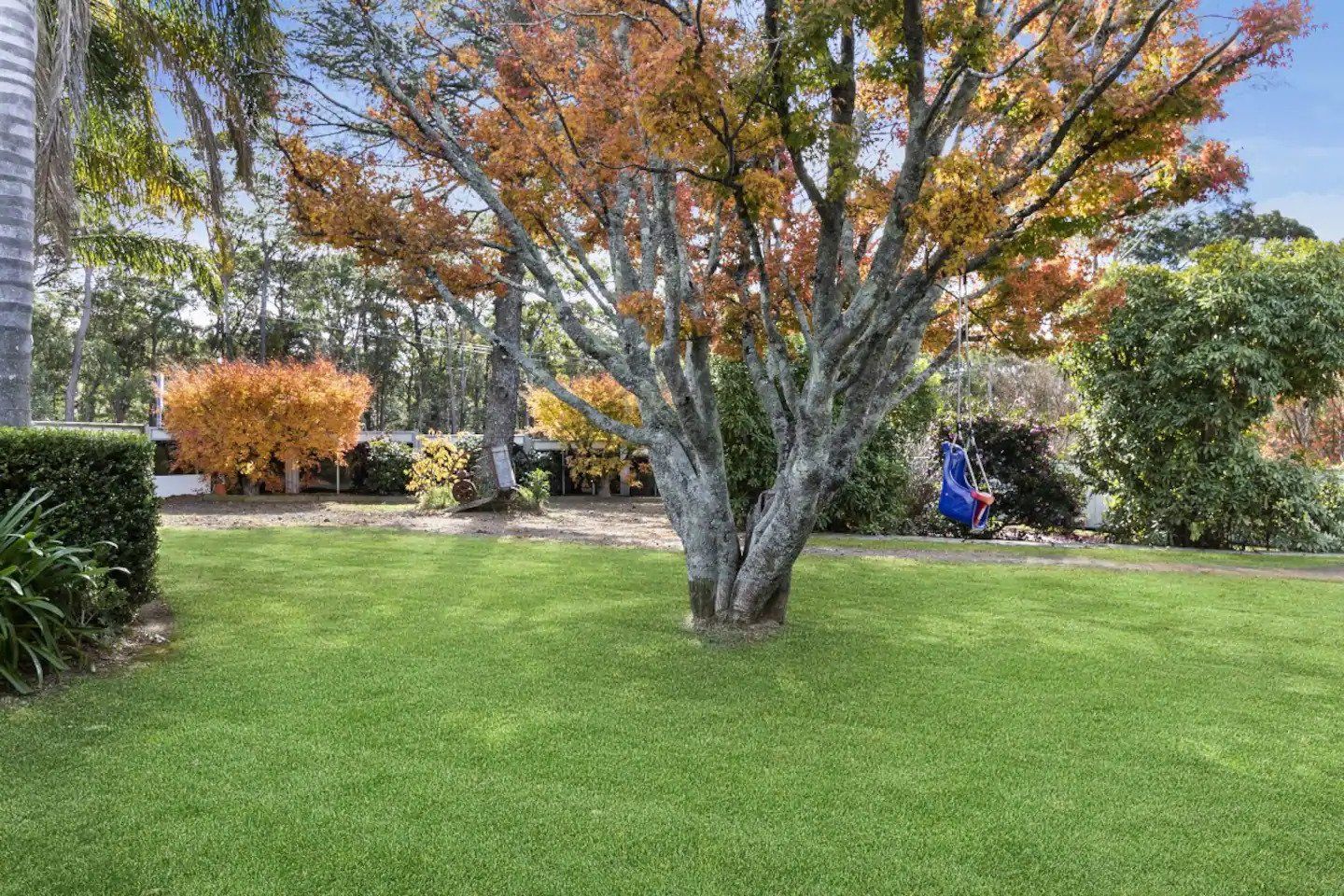 Large Tree in Front Yard — Guest House In Bilpin, NSW