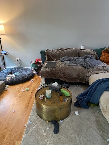 A living room with a couch , coffee table , and dog bed.