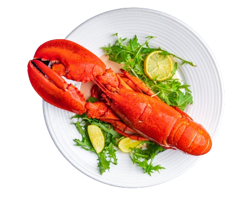 Un'aragosta è su un piatto bianco con lattuga e fette di limone