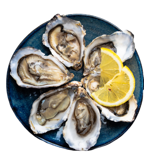 Un piatto blu sormontato da ostriche e fette di limone