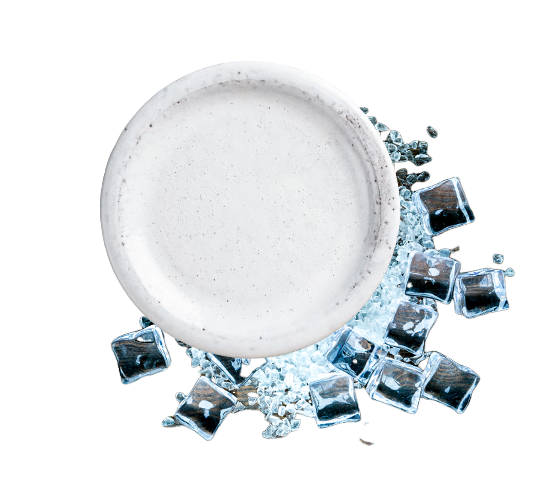 Un piatto bianco circondato da cubetti di ghiaccio su sfondo bianco
