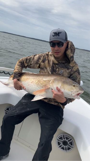 A man is sitting on a boat holding a large fish.