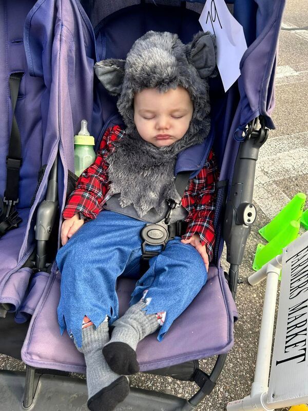 A baby wearing a wolf costume is sleeping in a stroller