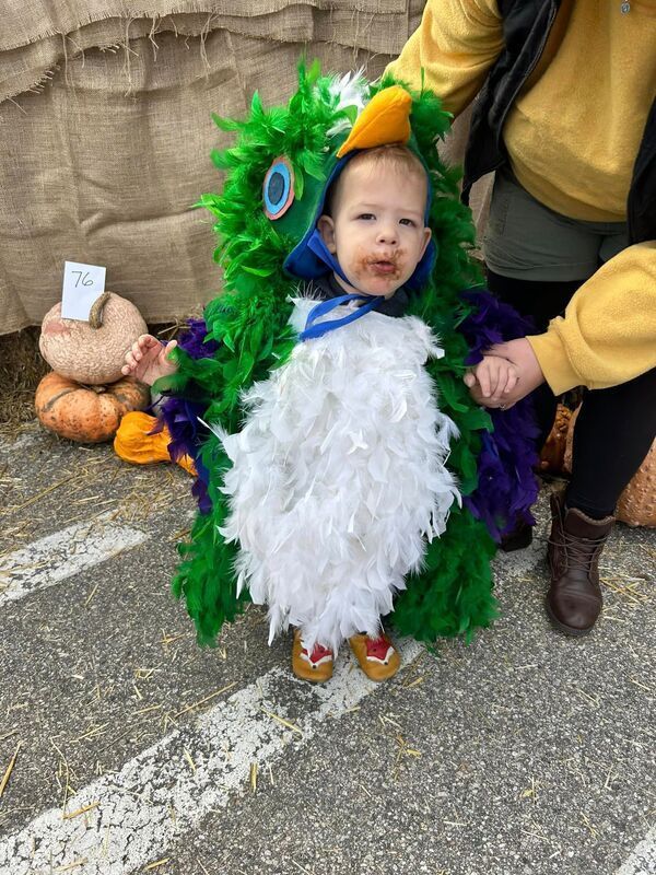 A baby is dressed in a peacock costume.