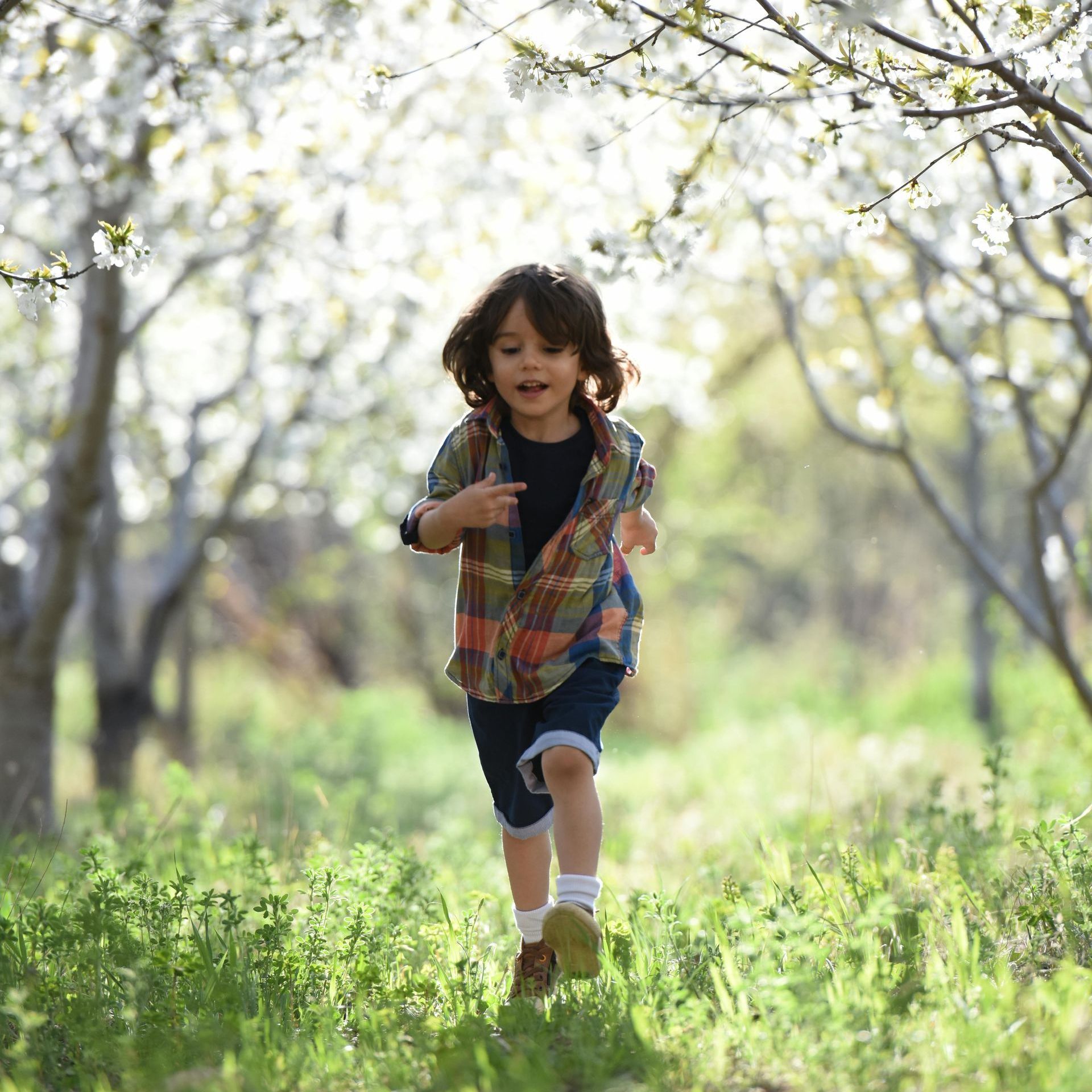 Two soldiers shaking hands