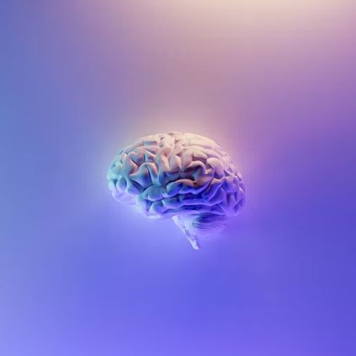 A 3D rendering of a human brain on a purple background.
