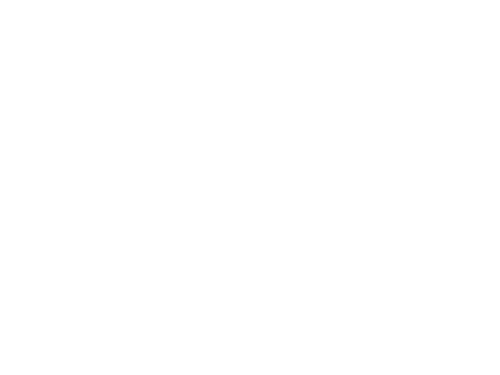 Elite Properties of the South 