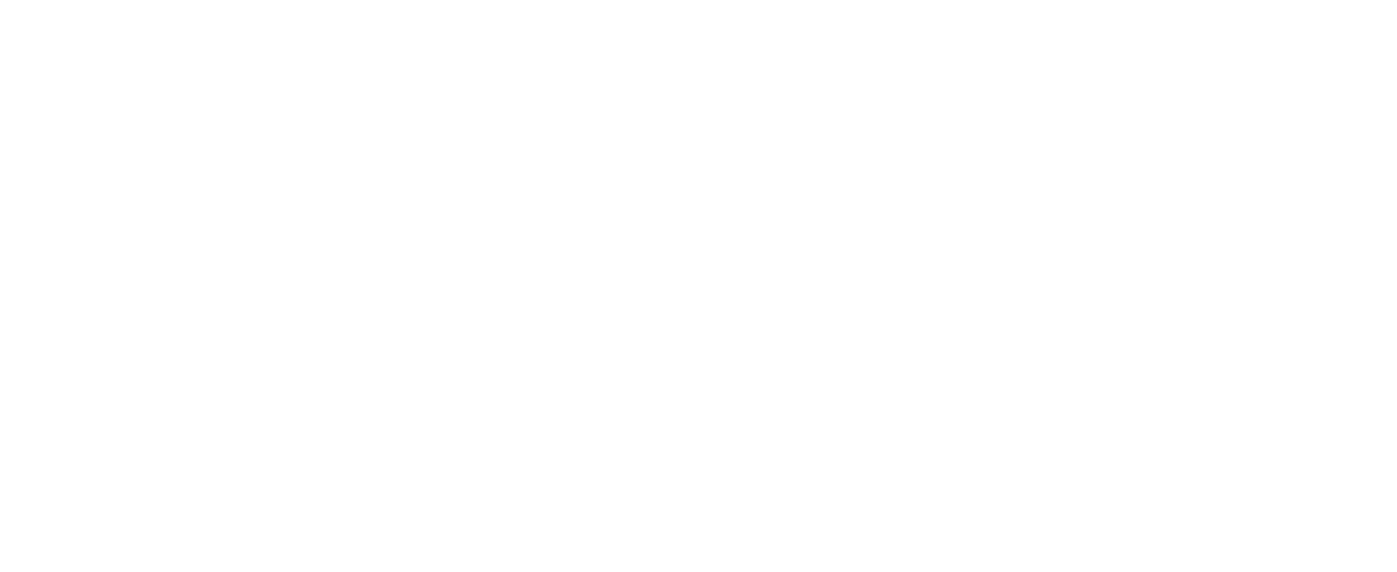 Partner Logo Name