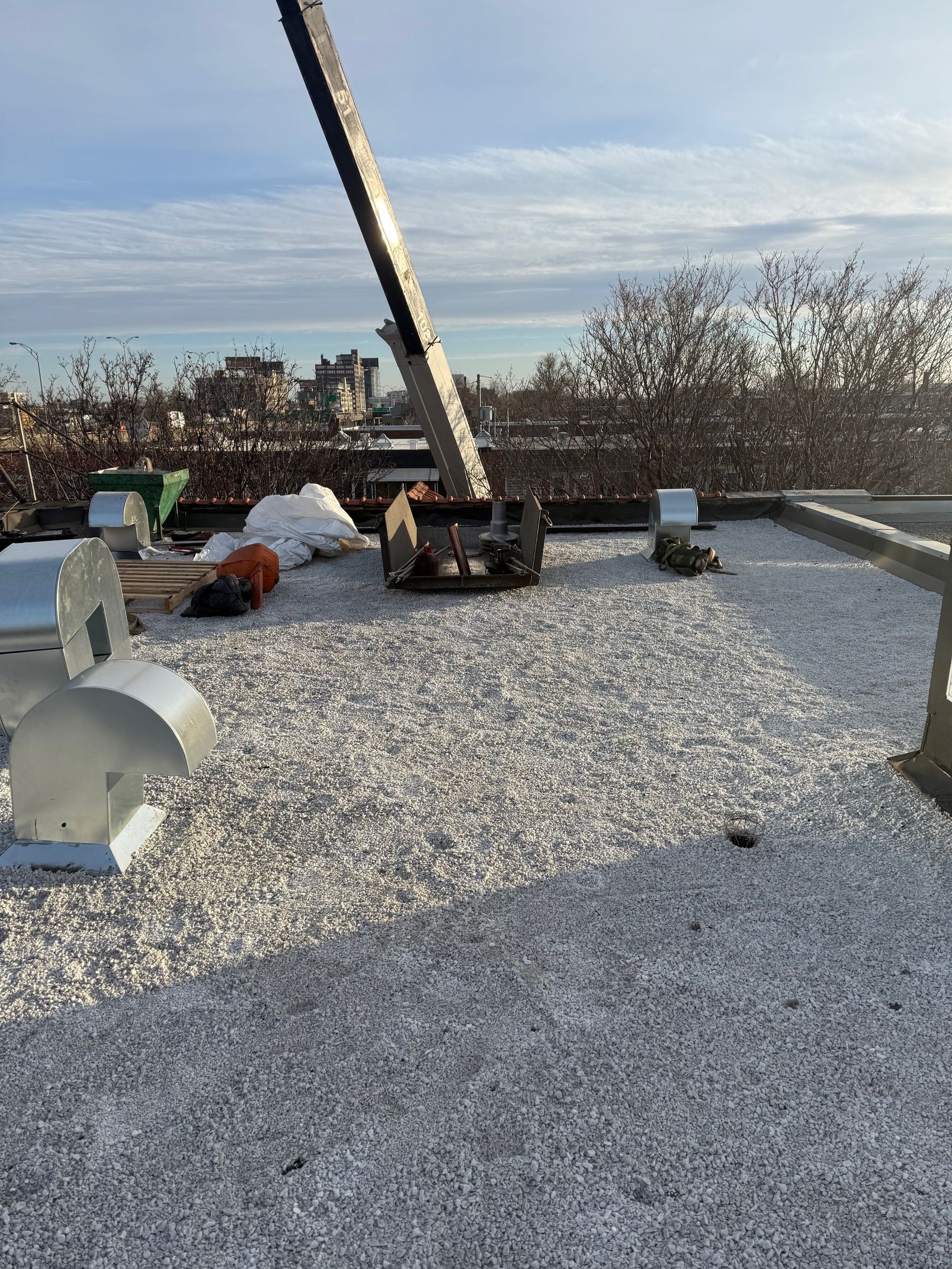 Une grue est assise sur un toit recouvert de neige.