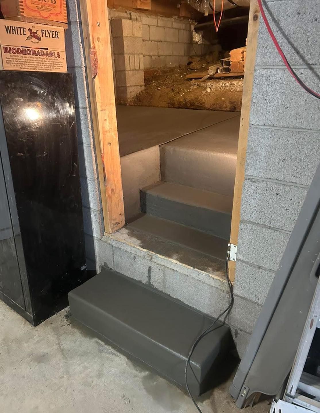 Basement doorway with concrete steps and landing. Gray-painted concrete, unfinished block walls, and wooden door frame.