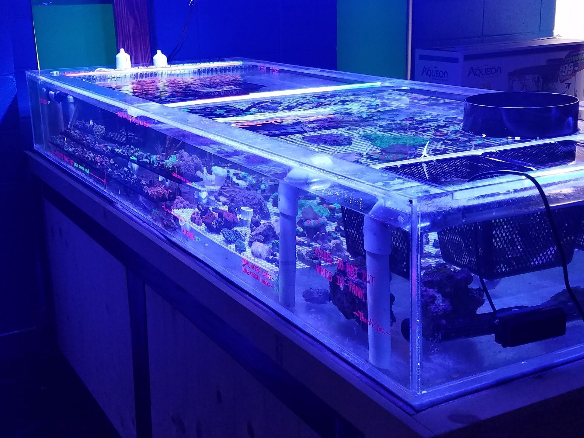 180 gallon Frag tank