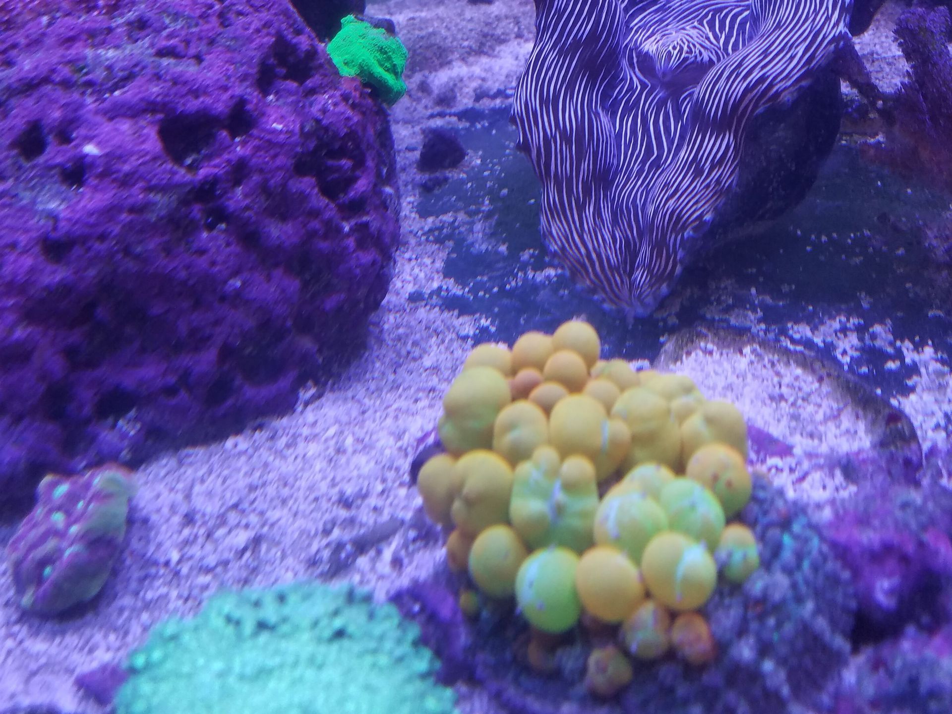 240 display at old location