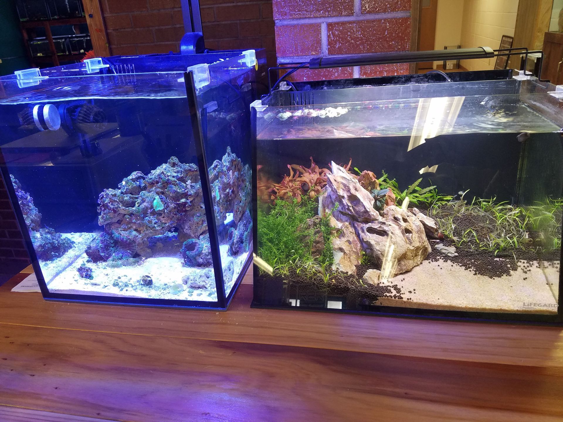 Two fish tanks are sitting next to each other on a wooden table.