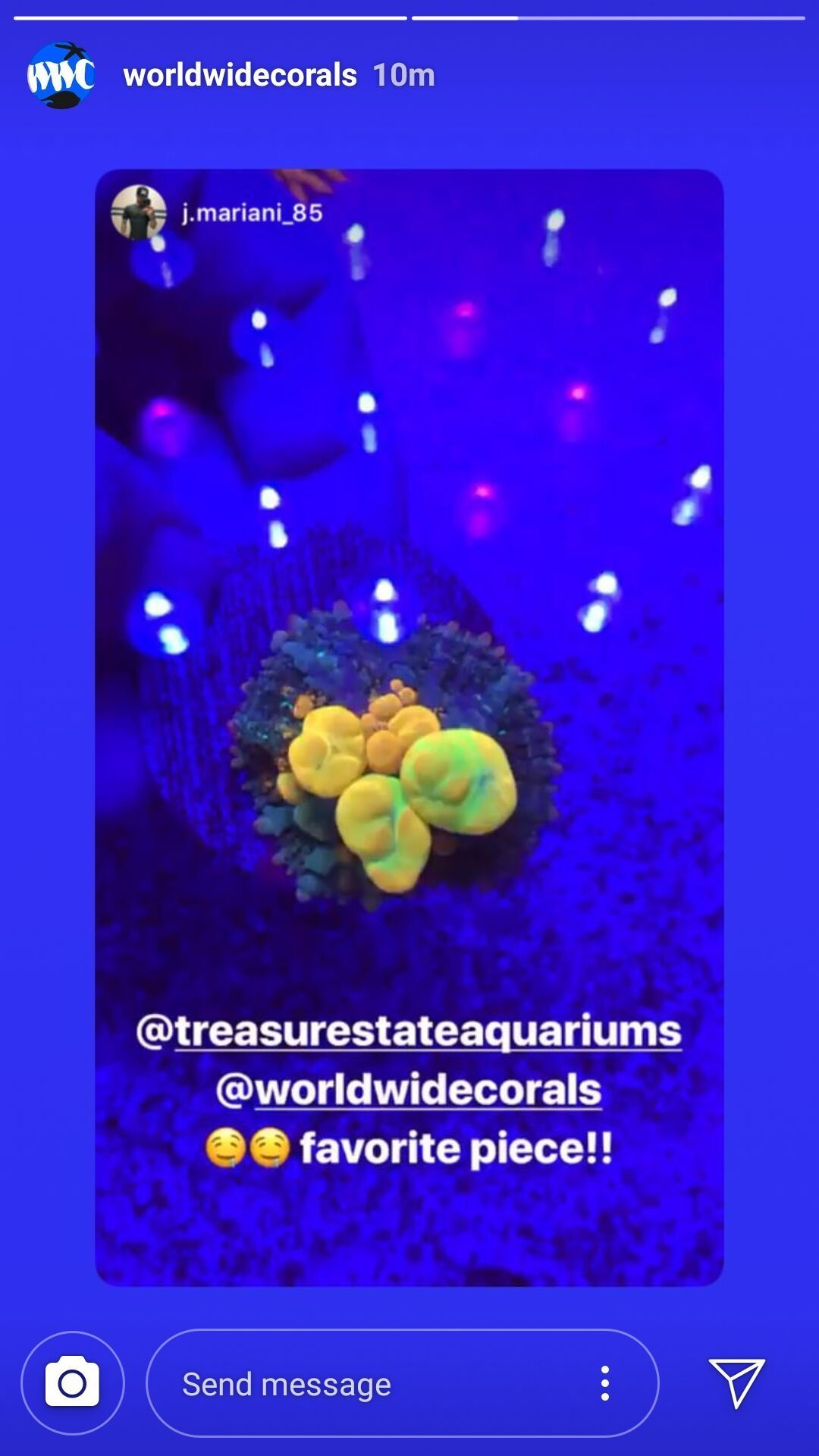 World Wide Corals gave us a shoutout on Instagram!