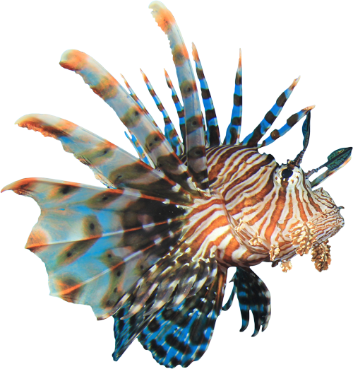 Treasure State Aquariums in Billings, MT