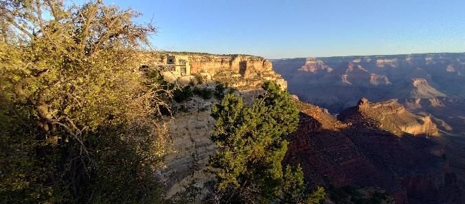 A view of the grand canyon from a cliff with trees in the foreground.