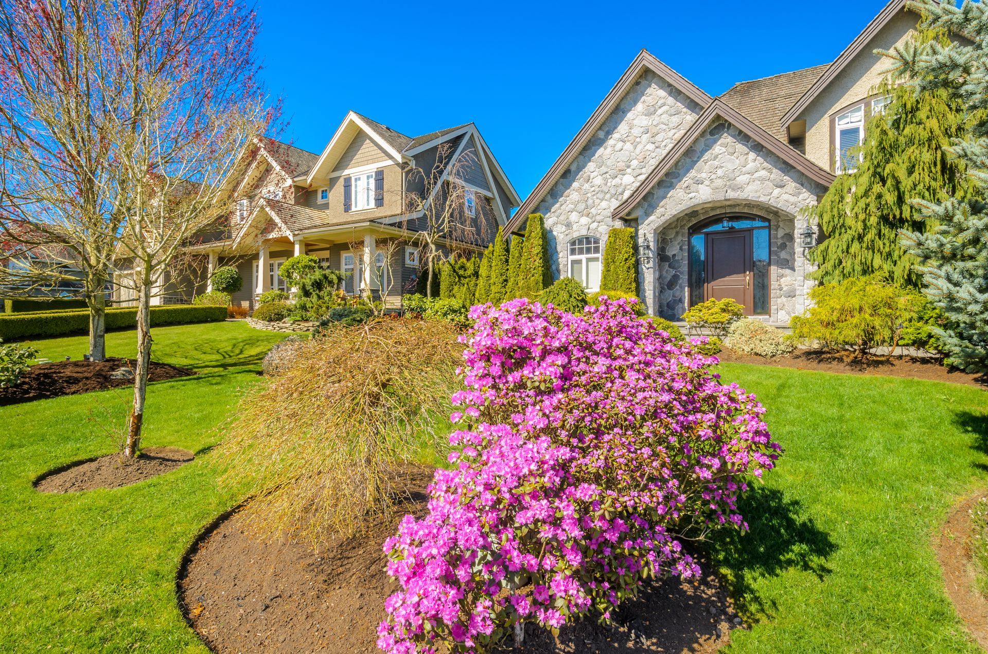 Spring curb appeal with landscaped yard, blooming flowers, and clean home exterior