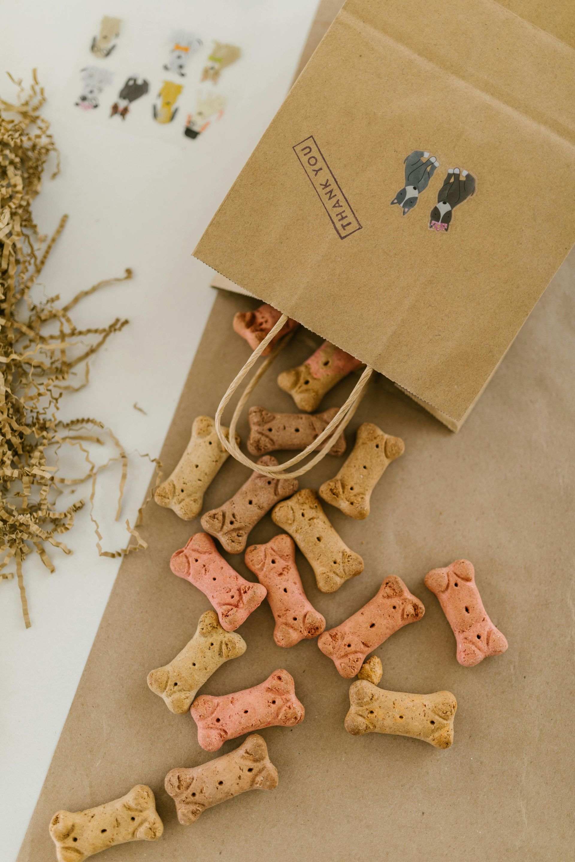 Dog treats spilling from a kraft paper bag with “Thank You” stamp, on brown paper.