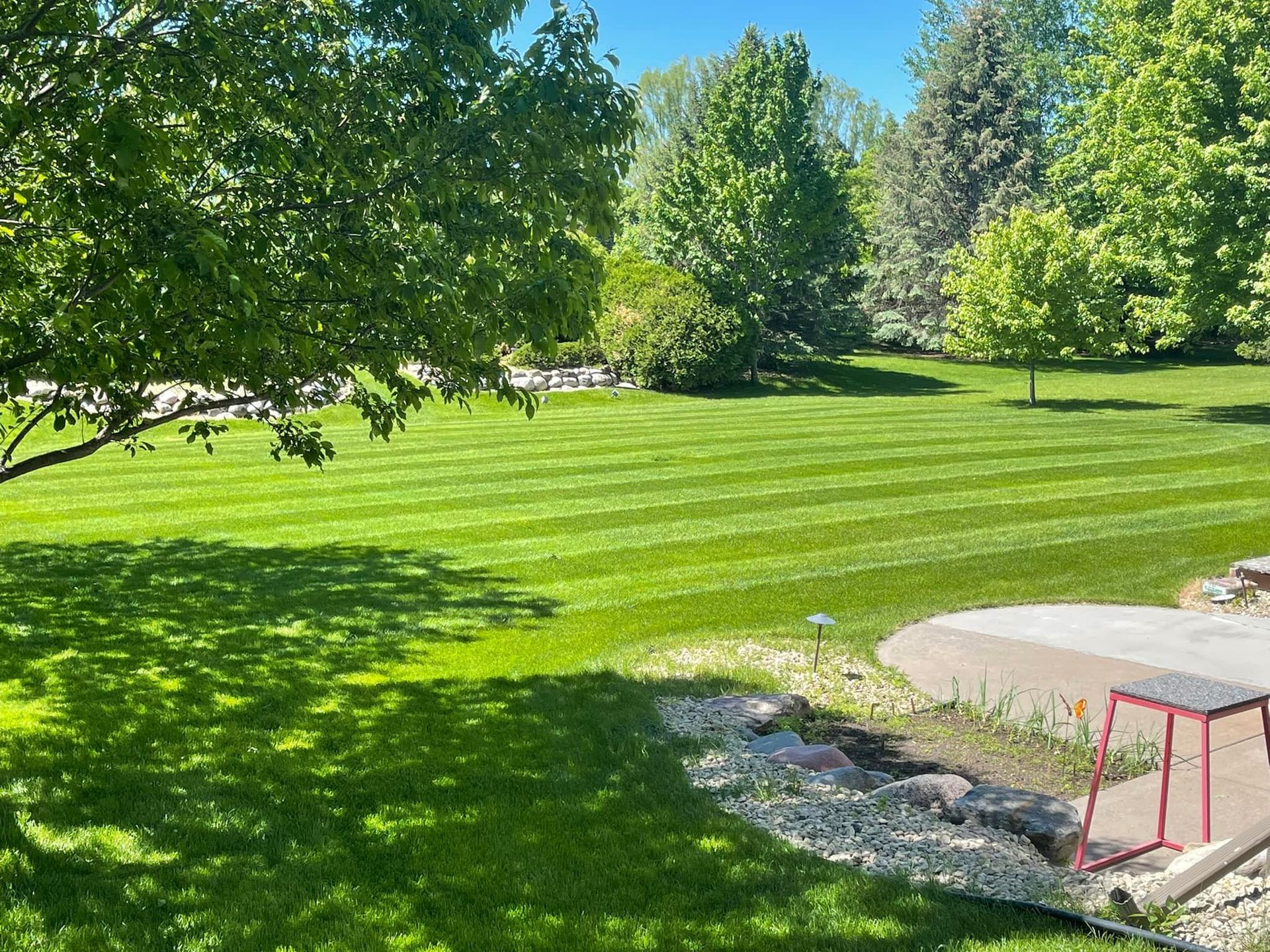 Newly trimmed grass - Hamel, MN - Mama's Boys Lawn and Landscaping LLC