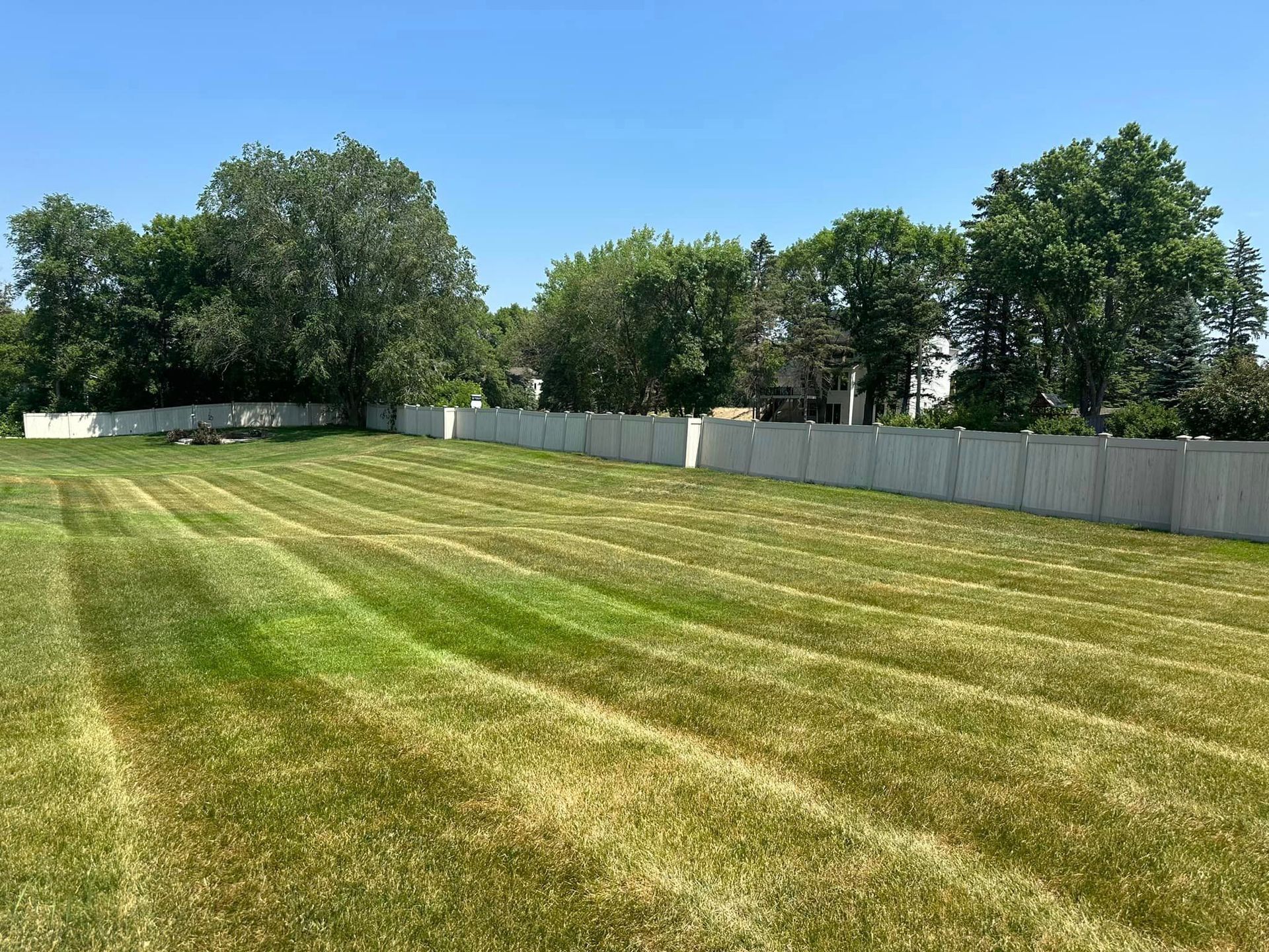 Mowed grass - Hamel, MN - Mama's Boys Lawn and Landscaping LLC